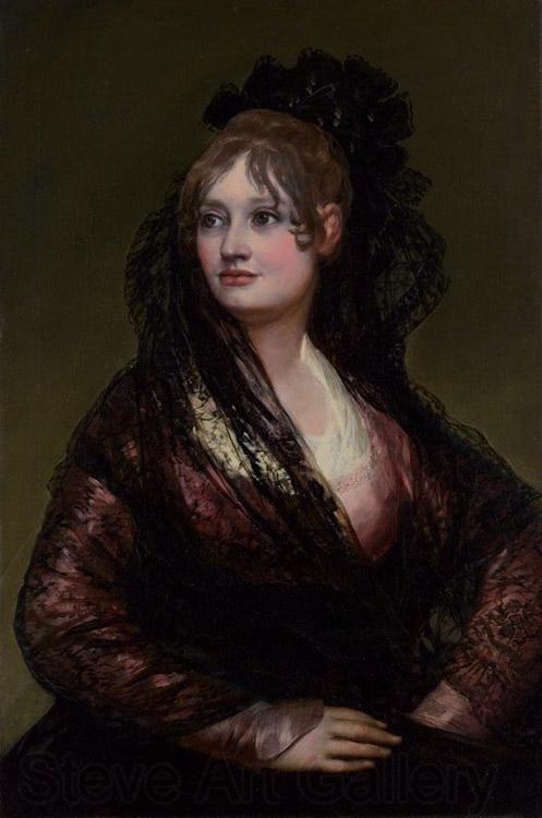 Francisco de Goya Portrait of Dona Isabel de Porcel (mk08) Spain oil painting art
